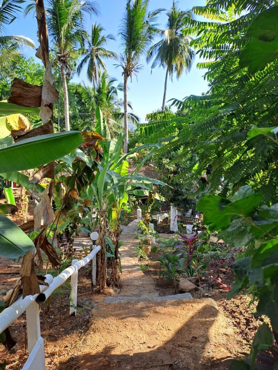 Hotel Le Chissioua à Sada Extérieur photo
